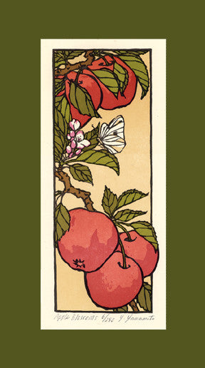 Apple Blossoms