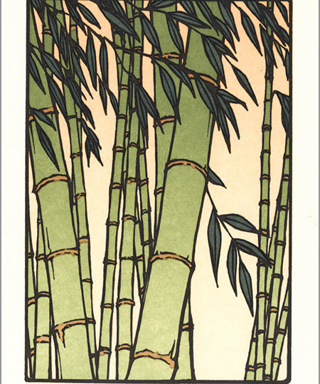 Bamboo.jpg