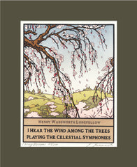 Cherry Trees Cut down for Firewood 絵本 Cherry Trees Cut down for Firewood 絵本