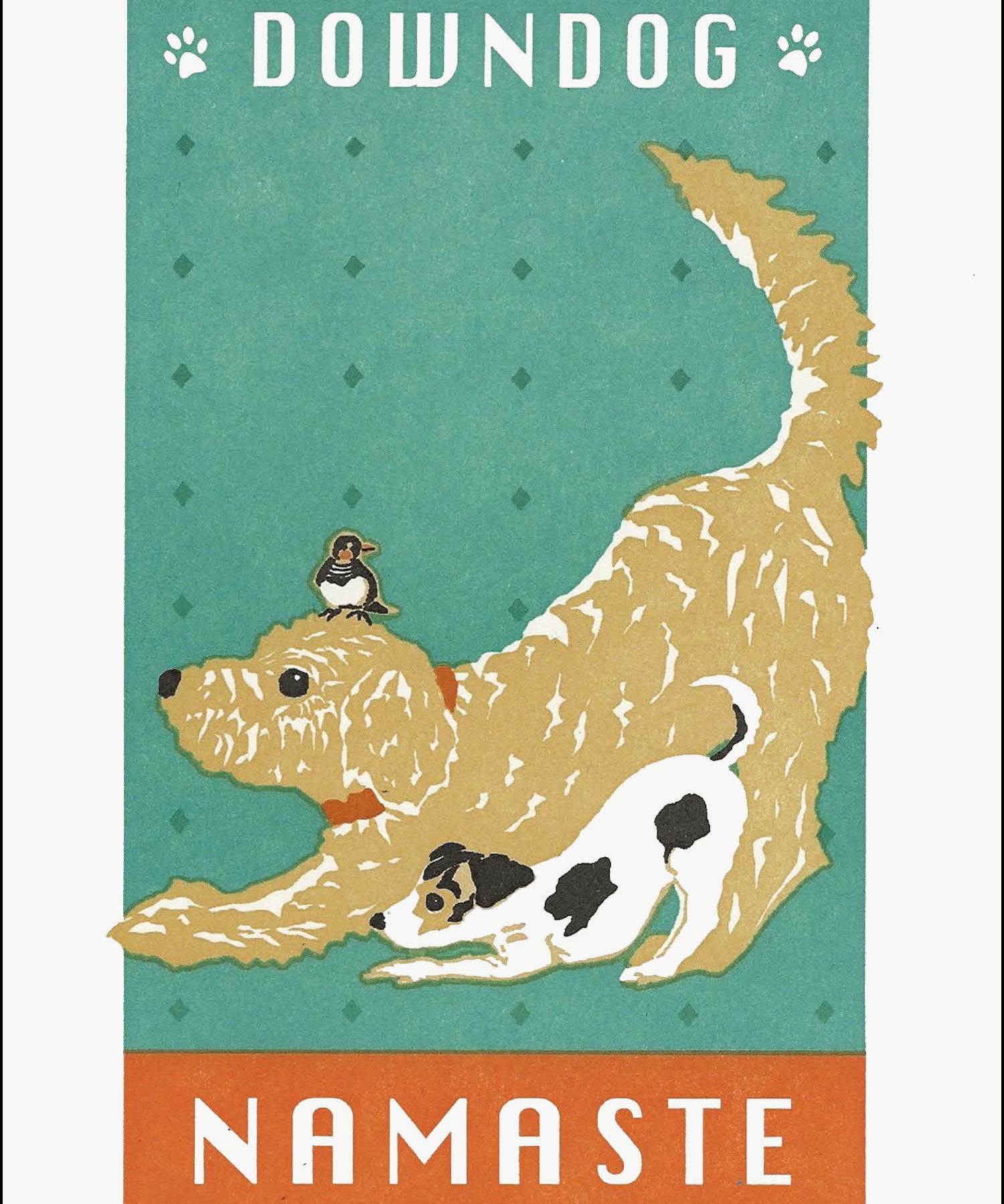 DownDog.jpg