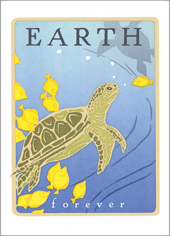 Sea Turtle Birthday Card, Letterpress Cards