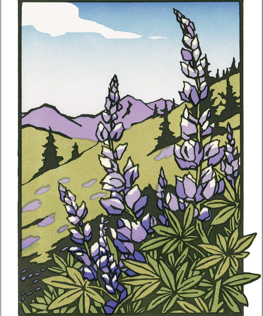 Lupines.jpg