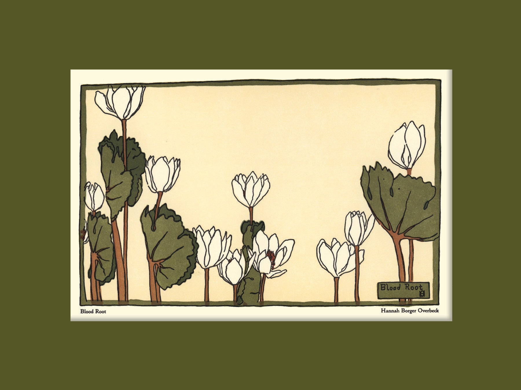 Overbeck - Blood Root