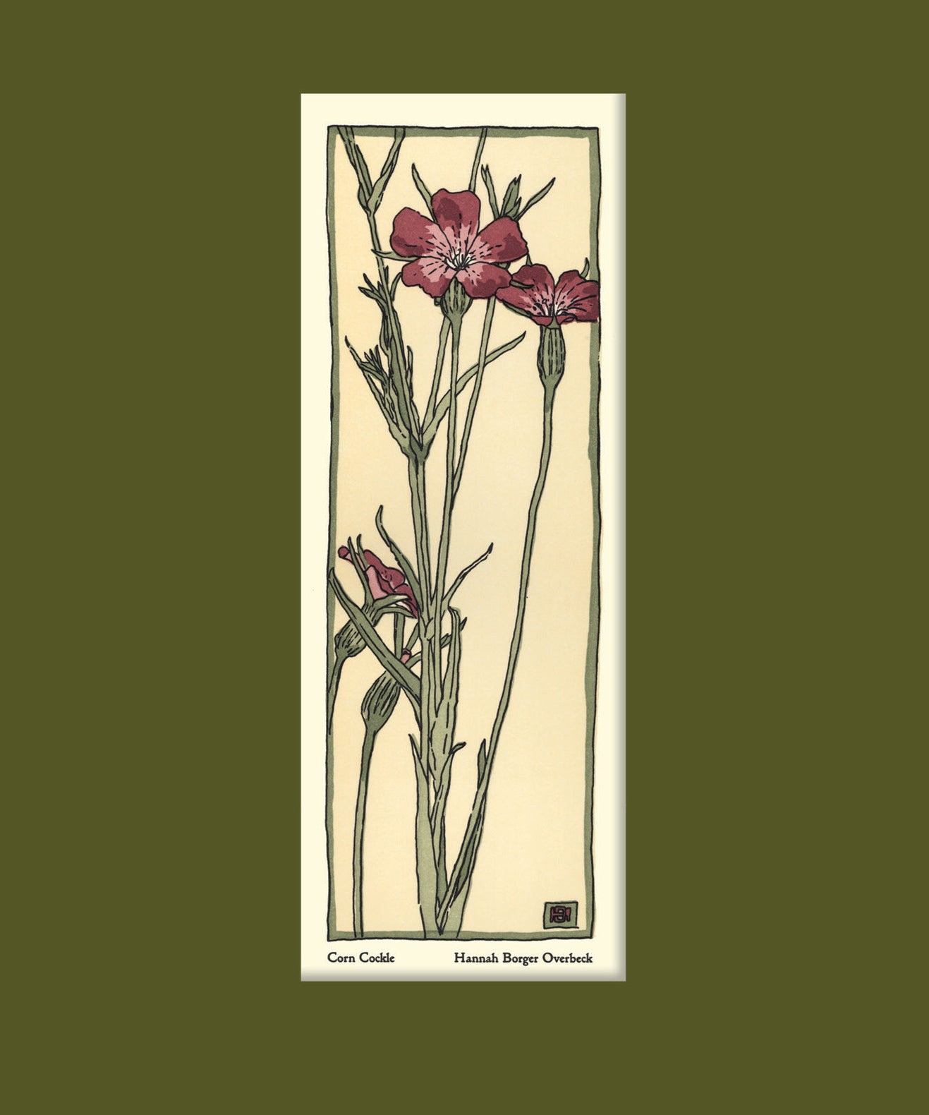 Overbeck_-_Corn_Cockle_1.jpg