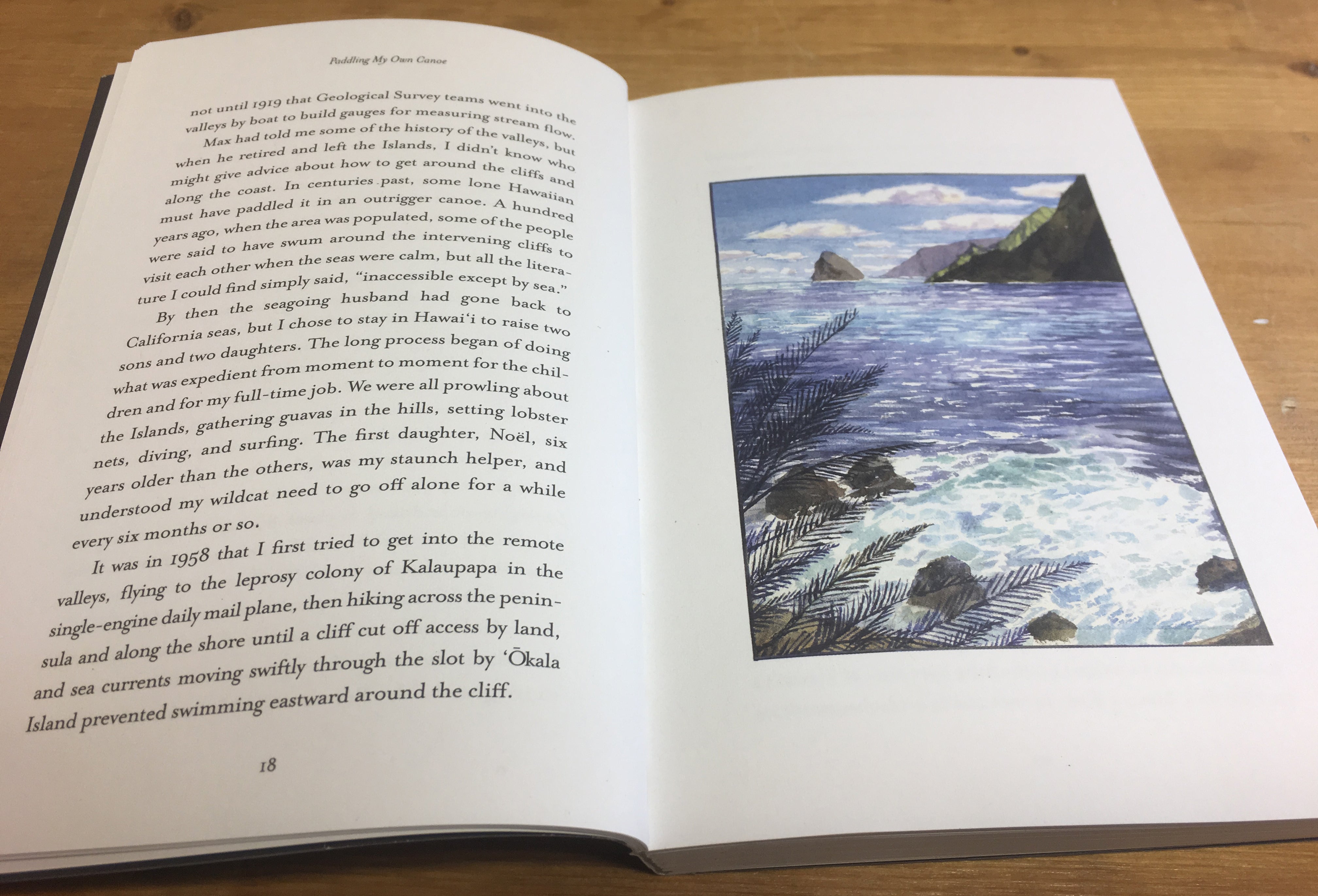 Paddling My Own Canoe