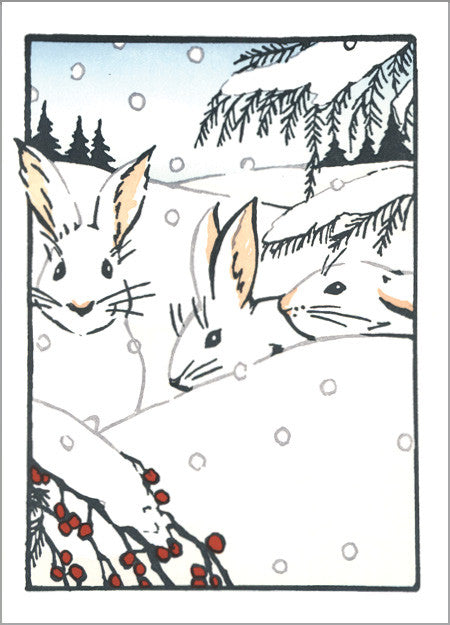 Snowshoe Hare