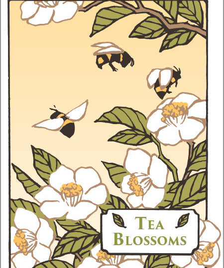 Tea_Blossoms.jpg
