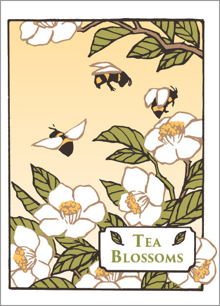 Tea Blossoms