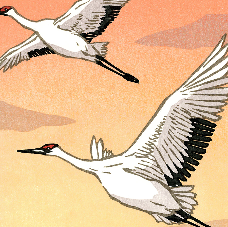 Whooping Crane - Earth Forever