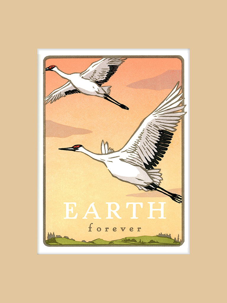 Whooping Crane - Earth Forever
