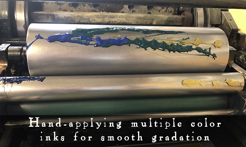 Green Sea Turtle - Earth Forever